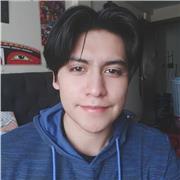 Profesor de matemáticas virtuales, clases personalizadas